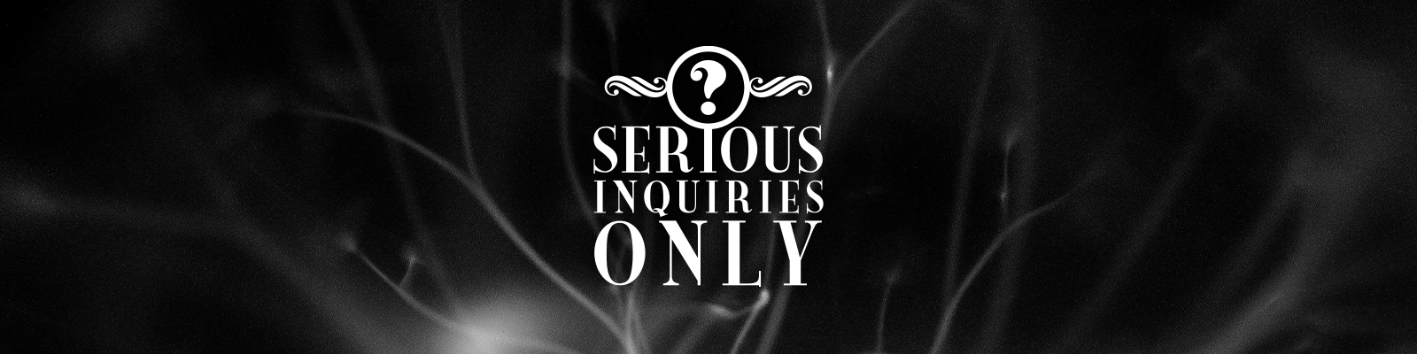Serious Inquiries Only Banner